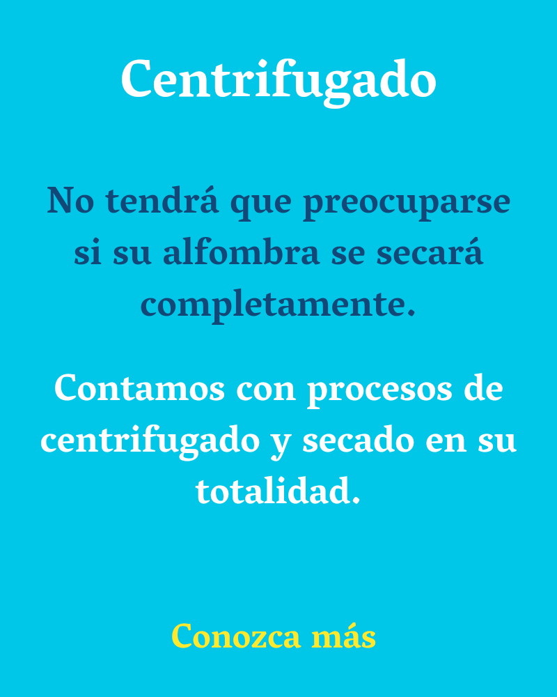 como secar agua de la alfombra?